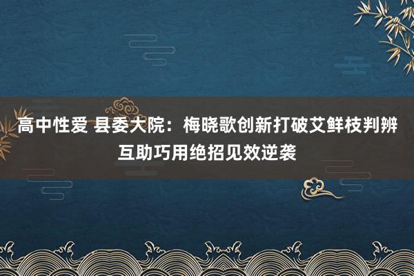 高中性爱 县委大院：梅晓歌创新打破艾鲜枝判辨互助巧用绝招见效逆袭