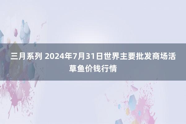 三月系列 2024年7月31日世界主要批发商场活草鱼价钱行情