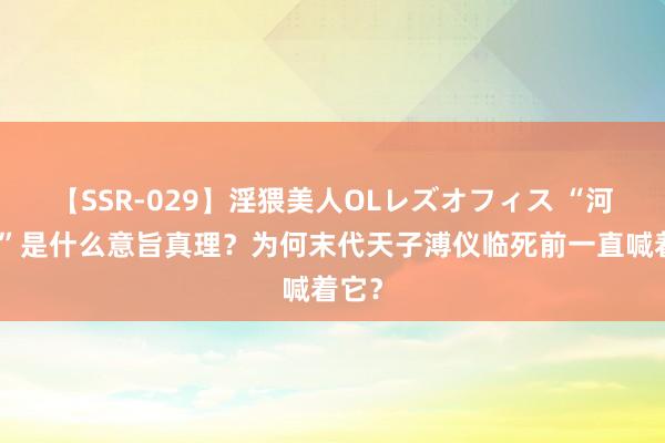 【SSR-029】淫猥美人OLレズオフィス “河车丸”是什么意旨真理？为何末代天子溥仪临死前一直喊着它？