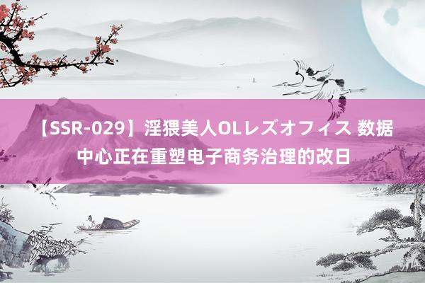 【SSR-029】淫猥美人OLレズオフィス 数据中心正在重塑电子商务治理的改日