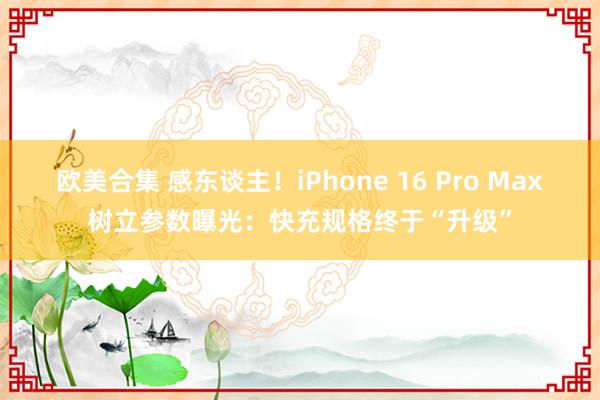 欧美合集 感东谈主！iPhone 16 Pro Max树立参数曝光：快充规格终于“升级”