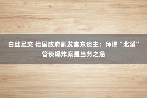 白丝足交 德国政府副发言东谈主：拜谒“北溪”管谈爆炸案是当务之急