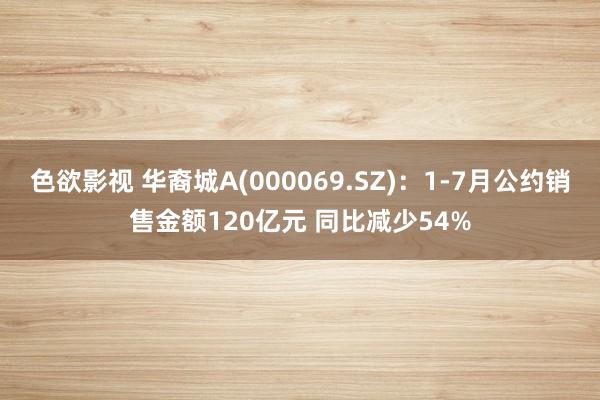 色欲影视 华裔城A(000069.SZ)：1-7月公约销售金额120亿元 同比减少54%