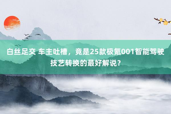 白丝足交 车主吐槽，竟是25款极氪001智能驾驶技艺转换的最好解说？