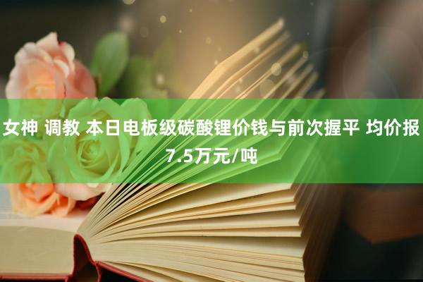 女神 调教 本日电板级碳酸锂价钱与前次握平 均价报7.5万元/吨