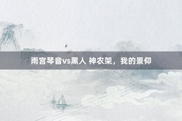 雨宫琴音vs黑人 神农架，我的景仰