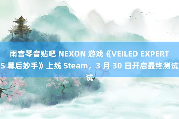 雨宫琴音贴吧 NEXON 游戏《VEILED EXPERTS 幕后妙手》上线 Steam，3 月 30 日开启最终测试