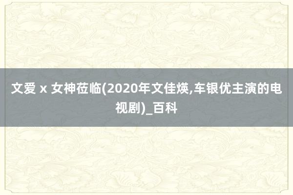 文爱 x 女神莅临(2020年文佳煐，车银优主演的电视剧)_百科