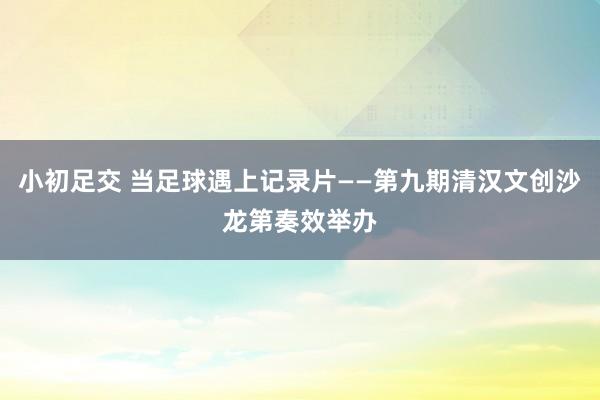 小初足交 当足球遇上记录片——第九期清汉文创沙龙第奏效举办